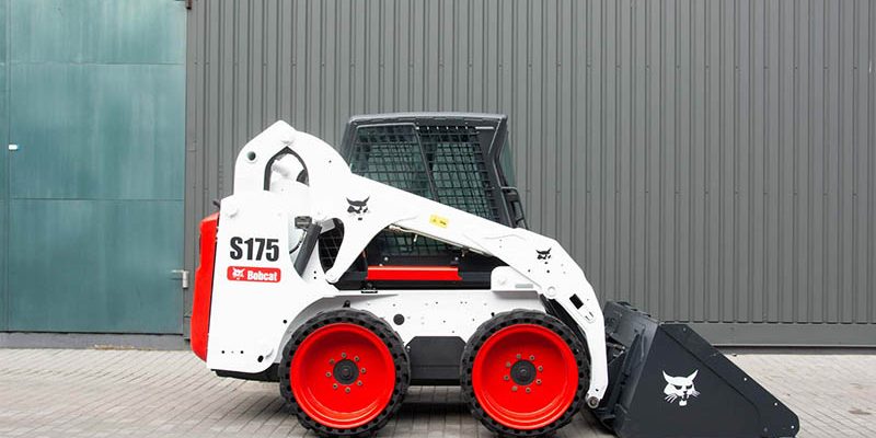 bobcat_s175